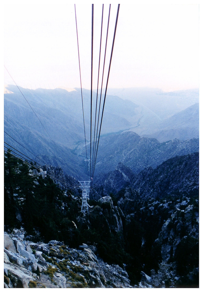 12 - Palm Spring (3).jpg